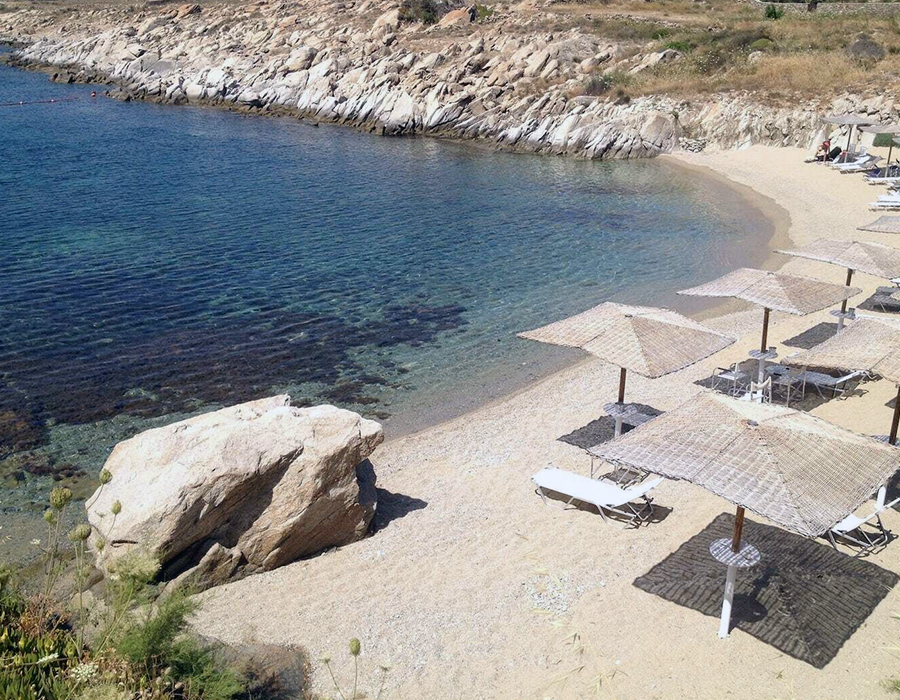 homepage-alpha-rental-beach