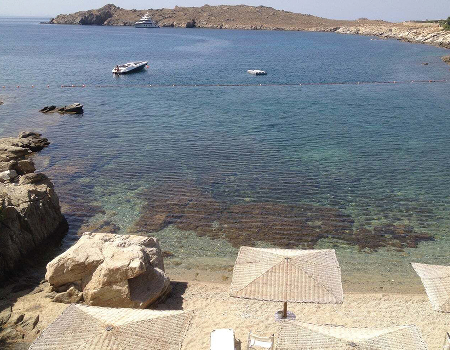 homepage-alpha-rental-beach2